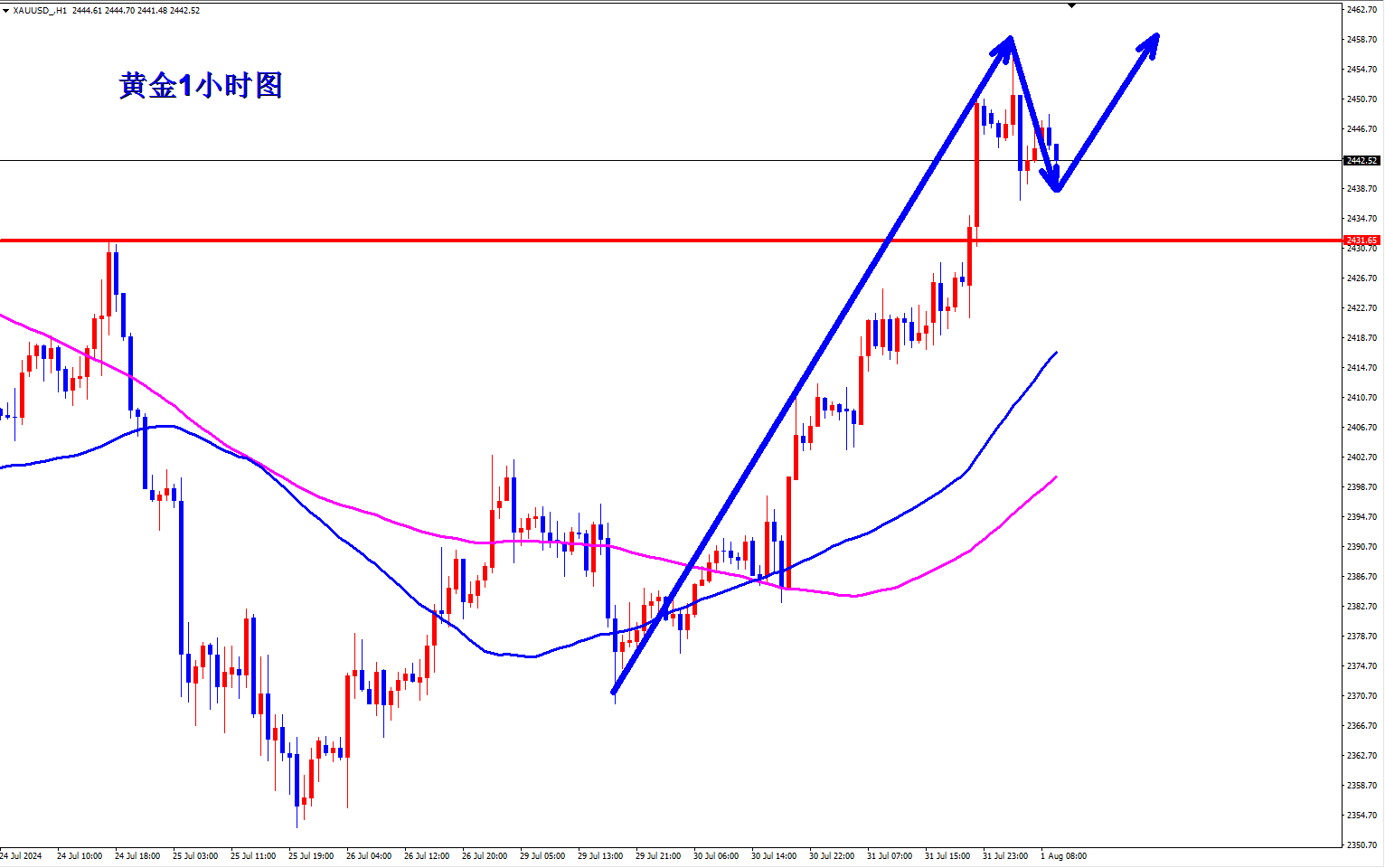 王杨：黄金午后现价2442直接多！