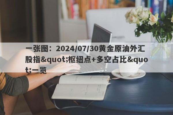 一张图：2024/07/30黄金原油外汇股指"枢纽点+多空占比"一览