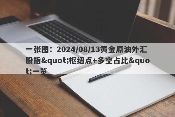 一张图：2024/08/13黄金原油外汇股指"枢纽点+多空占比"一览