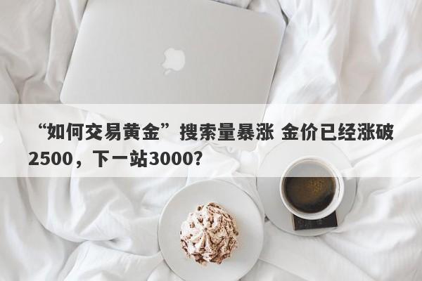 “如何交易黄金”搜索量暴涨 金价已经涨破2500，下一站3000？