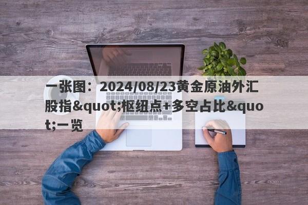 一张图：2024/08/23黄金原油外汇股指"枢纽点+多空占比"一览