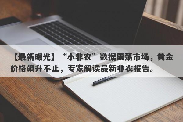 【最新曝光】“小非农”数据震荡市场，黄金价格飙升不止，专家解读最新非农报告。