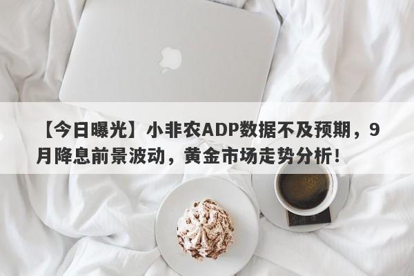 【今日曝光】小非农ADP数据不及预期，9月降息前景波动，黄金市场走势分析！