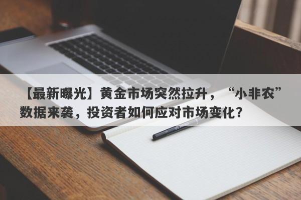 【最新曝光】黄金市场突然拉升，“小非农”数据来袭，投资者如何应对市场变化？