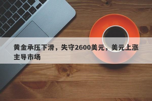 黄金承压下滑，失守2600美元，美元上涨主导市场