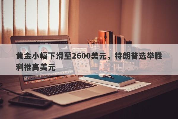 黄金小幅下滑至2600美元，特朗普选举胜利推高美元