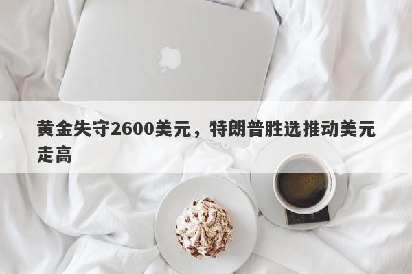 黄金失守2600美元，特朗普胜选推动美元走高