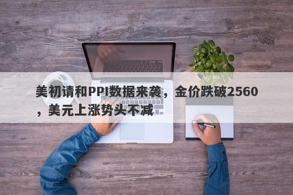 美初请和PPI数据来袭，金价跌破2560，美元上涨势头不减