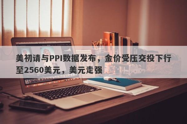 美初请与PPI数据发布，金价受压交投下行至2560美元，美元走强