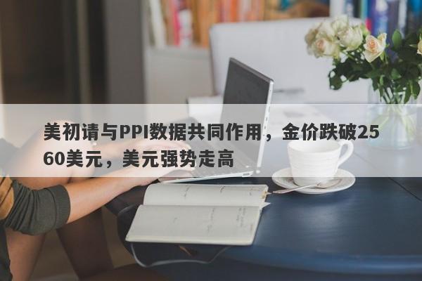 美初请与PPI数据共同作用，金价跌破2560美元，美元强势走高