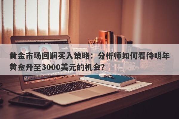 黄金市场回调买入策略：分析师如何看待明年黄金升至3000美元的机会？