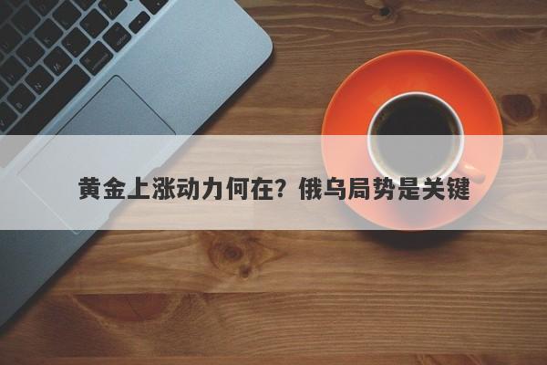 黄金上涨动力何在？俄乌局势是关键