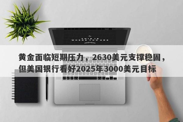 黄金面临短期压力，2630美元支撑稳固，但美国银行看好2025年3000美元目标