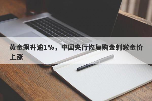 黄金飙升逾1%，中国央行恢复购金刺激金价上涨