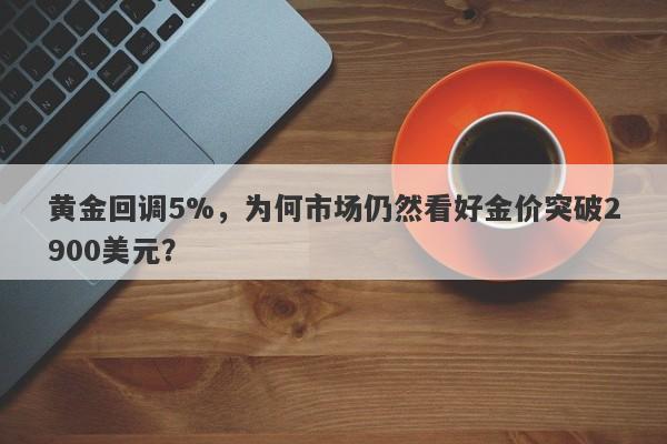 黄金回调5%，为何市场仍然看好金价突破2900美元？