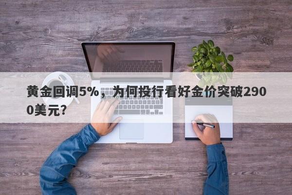 黄金回调5%，为何投行看好金价突破2900美元？