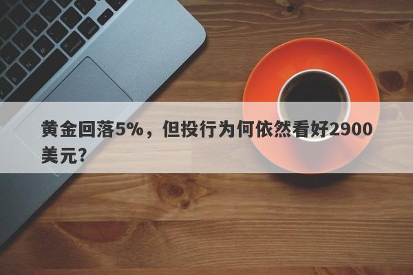 黄金回落5%，但投行为何依然看好2900美元？