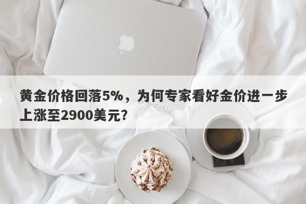 黄金价格回落5%，为何专家看好金价进一步上涨至2900美元？