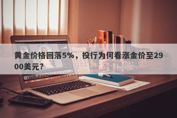 黄金价格回落5%，投行为何看涨金价至2900美元？