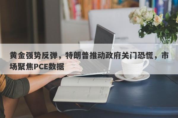 黄金强势反弹，特朗普推动政府关门恐慌，市场聚焦PCE数据