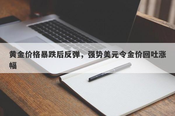 黄金价格暴跌后反弹，强势美元令金价回吐涨幅