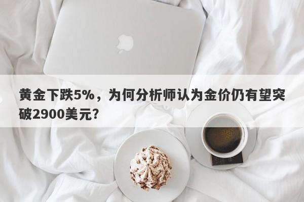 黄金下跌5%，为何分析师认为金价仍有望突破2900美元？