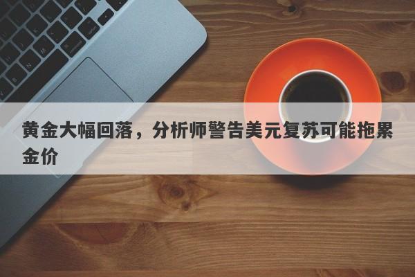 黄金大幅回落，分析师警告美元复苏可能拖累金价