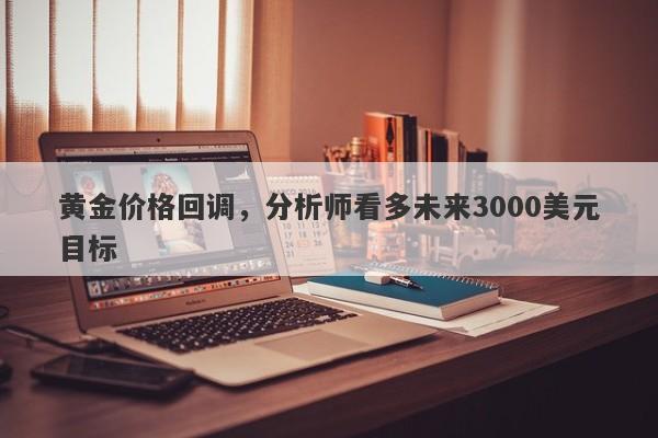 黄金价格回调，分析师看多未来3000美元目标