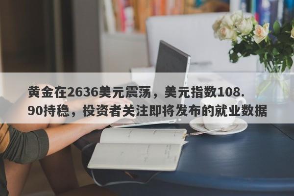 黄金在2636美元震荡，美元指数108.90持稳，投资者关注即将发布的就业数据