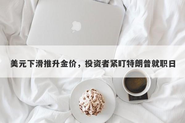 美元下滑推升金价，投资者紧盯特朗普就职日