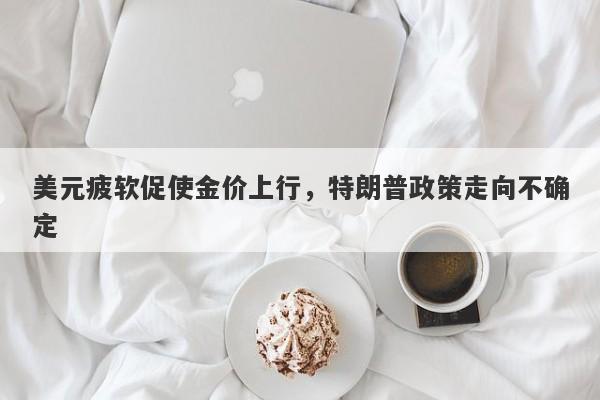 美元疲软促使金价上行，特朗普政策走向不确定