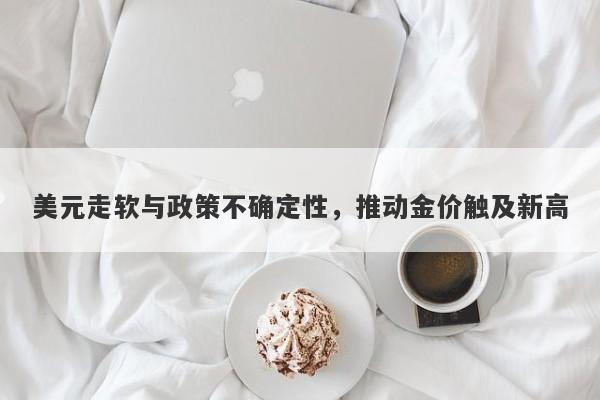 美元走软与政策不确定性，推动金价触及新高