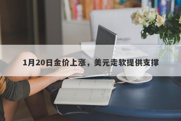 1月20日金价上涨，美元走软提供支撑