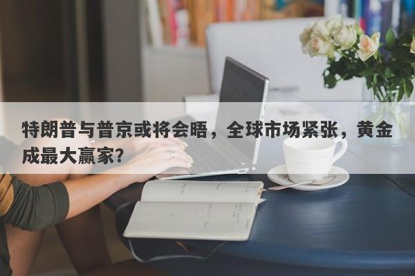 特朗普与普京或将会晤，全球市场紧张，黄金成最大赢家？