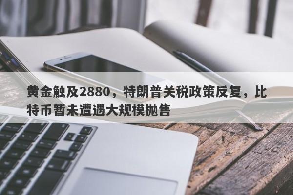 黄金触及2880，特朗普关税政策反复，比特币暂未遭遇大规模抛售