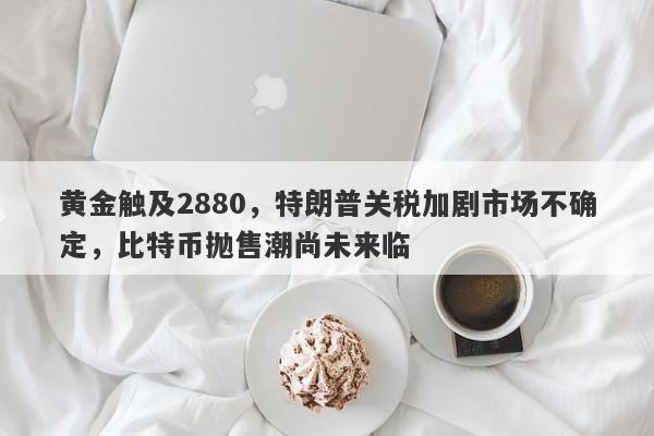 黄金触及2880，特朗普关税加剧市场不确定，比特币抛售潮尚未来临