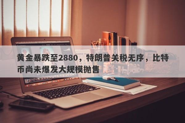 黄金暴跌至2880，特朗普关税无序，比特币尚未爆发大规模抛售