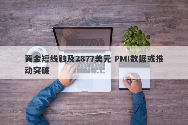 黄金短线触及2877美元 PMI数据或推动突破