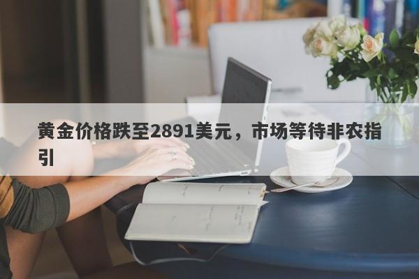 黄金价格跌至2891美元，市场等待非农指引