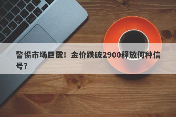 警惕市场巨震！金价跌破2900释放何种信号？