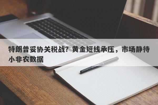 特朗普妥协关税战？黄金短线承压，市场静待小非农数据