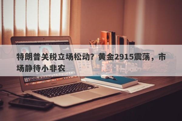 特朗普关税立场松动？黄金2915震荡，市场静待小非农