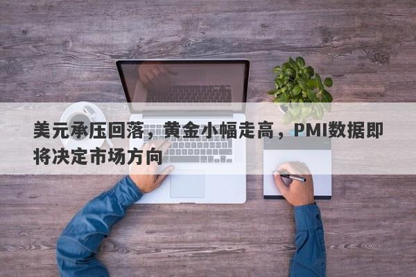 美元承压回落，黄金小幅走高，PMI数据即将决定市场方向