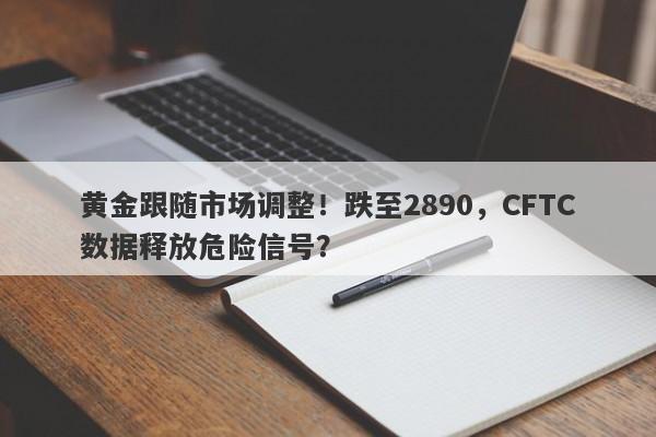 黄金跟随市场调整！跌至2890，CFTC数据释放危险信号？